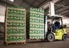 Associados Cooperja comemoram rendimento e qualidade superior na colheita de maracujá e pitaya