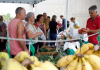 Feira da Agricultura Familiar pode voltar presencialmente no mês de junho